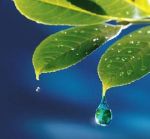 COMPROMISO GRUPO NET CON EL MEDIO AMBIENTE