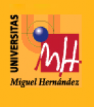 Universidad Miguel Hernández